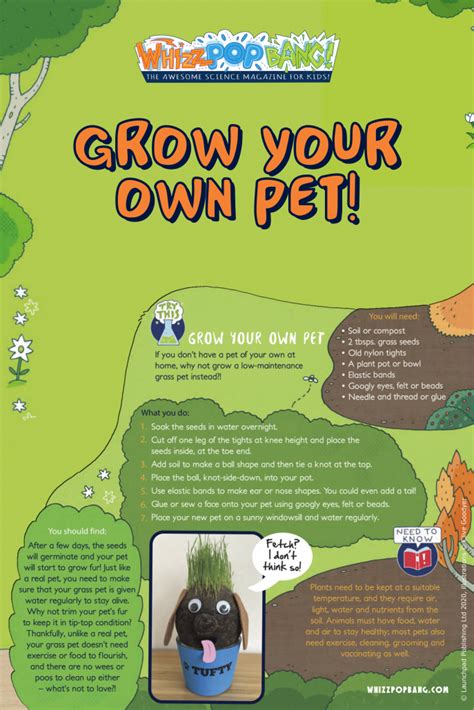 How to Grow Your Own Pet! .